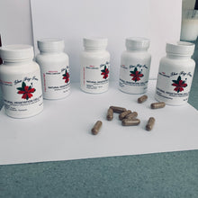 Intra-Celluar  Bio-Electric Program Nutritional Package
